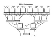 Vorschaubild / Materialvorschau